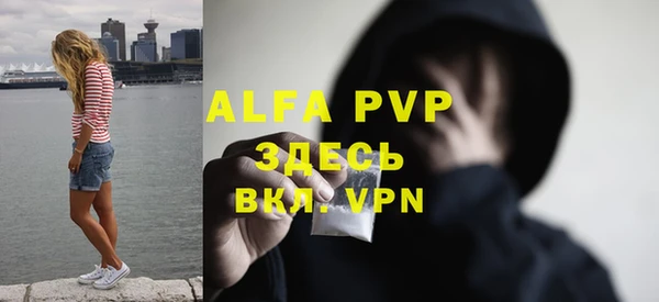 apvp Верея